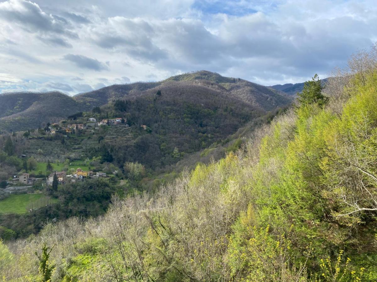 Casa Vacanze Giuliana Villore Eksteriør bilde